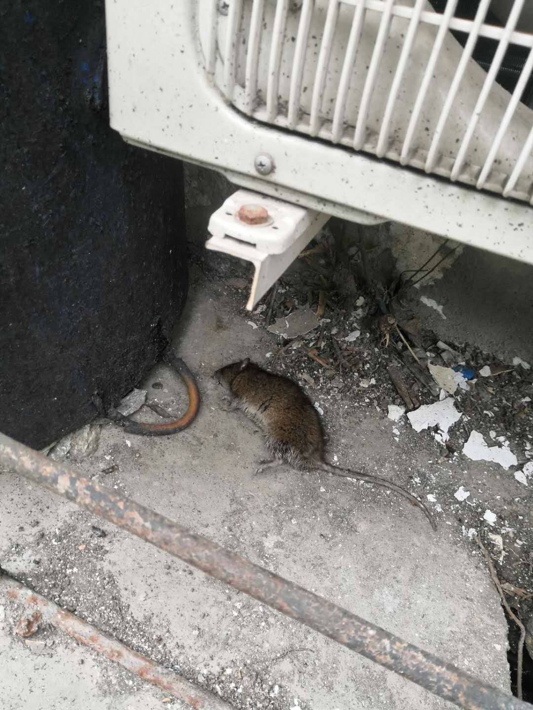 三勒浆总部.jpg
