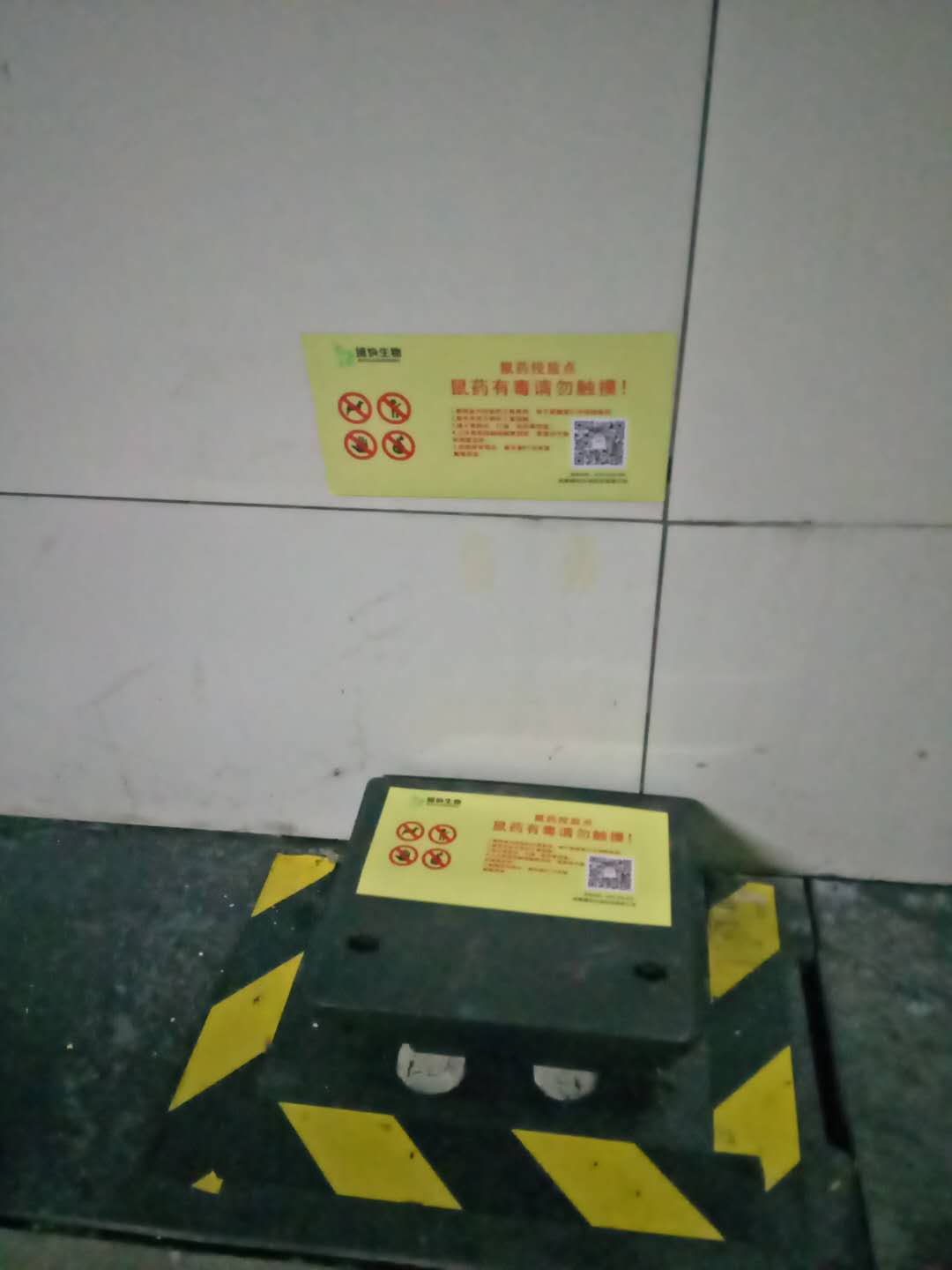 423892167738615028.jpg