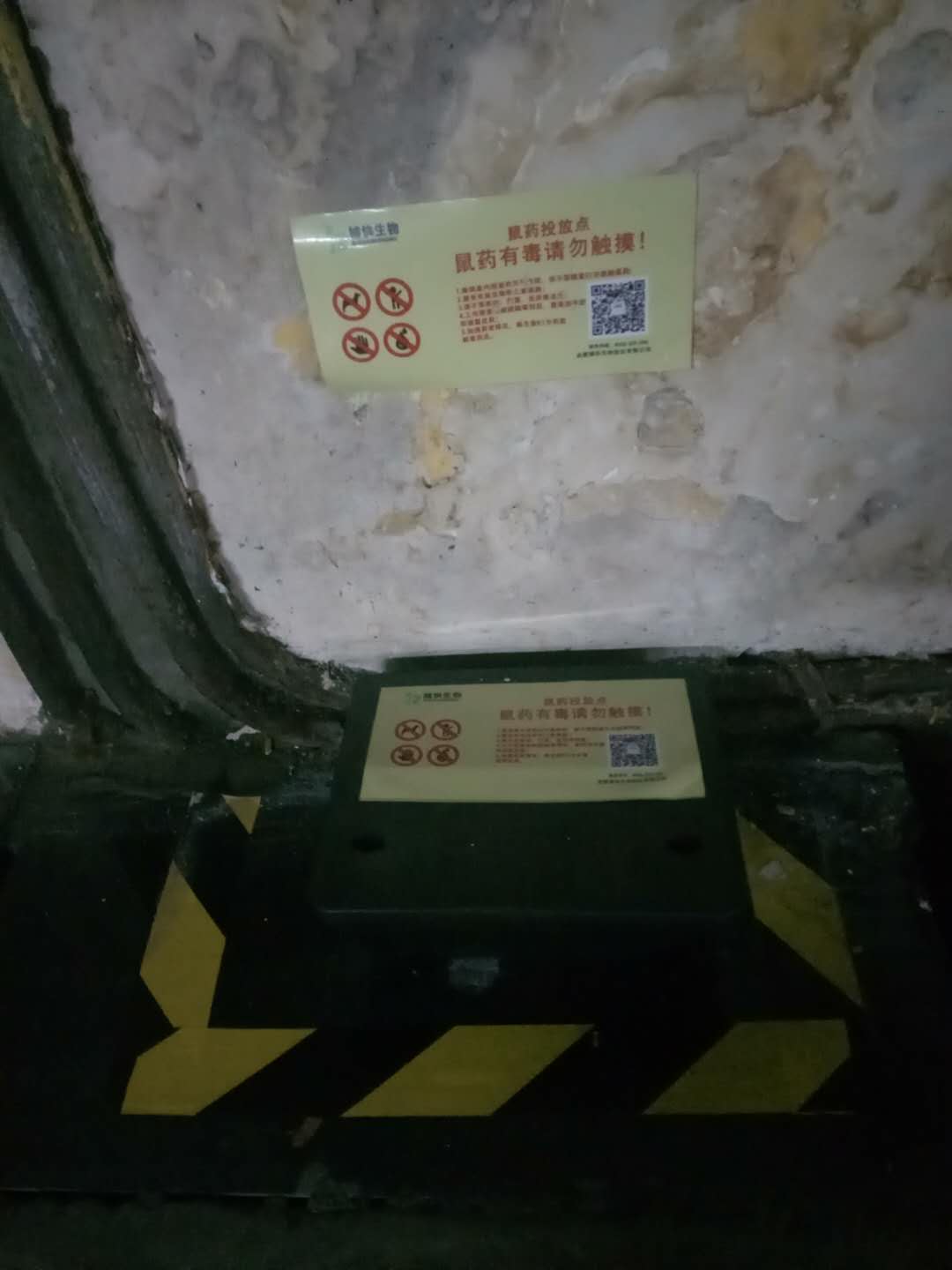 845007462083505659.jpg