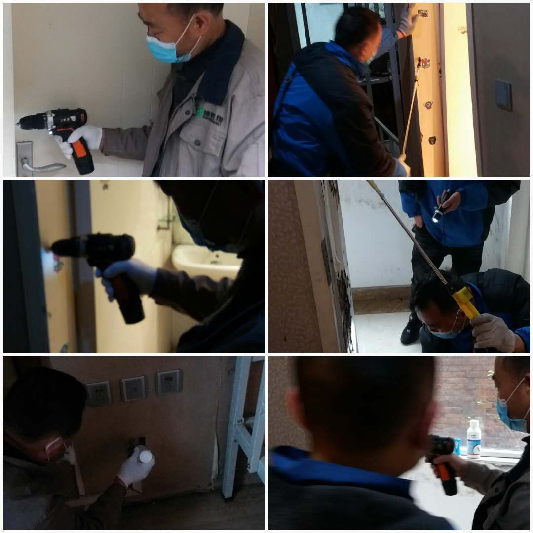 依米康_白蚁 (3).jpg