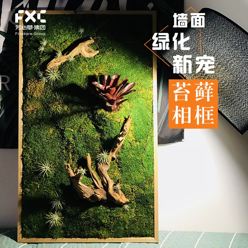 O1CN01IMMYyJ1LC2QKqzL62_!!0-item_pic.jpg