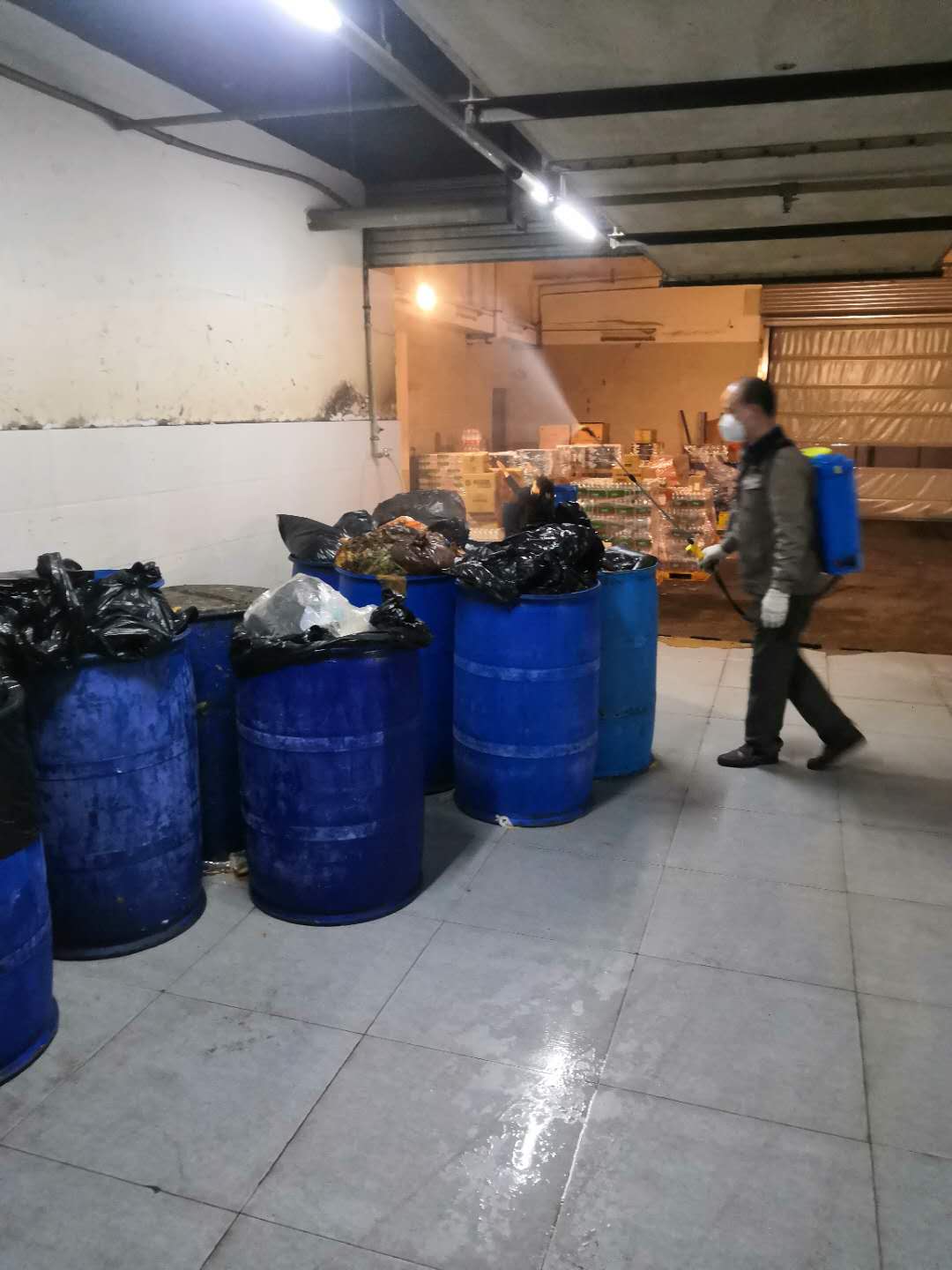 垃圾房蚊蝇打药.jpg