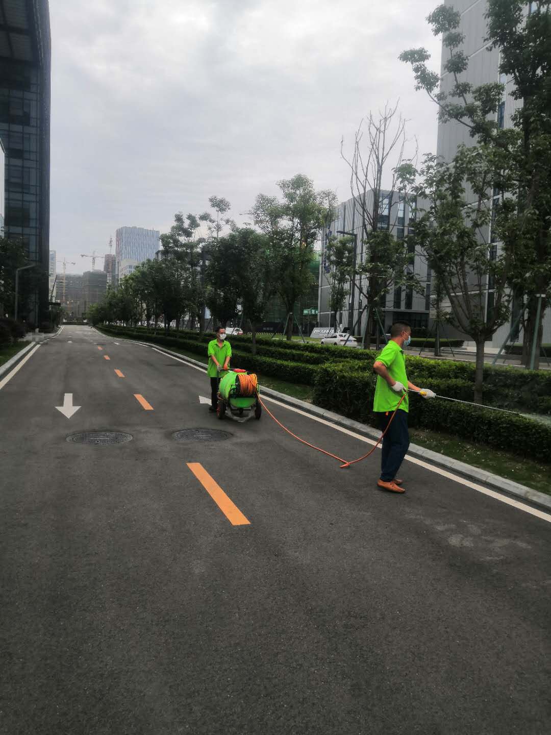 蚊虫.jpg