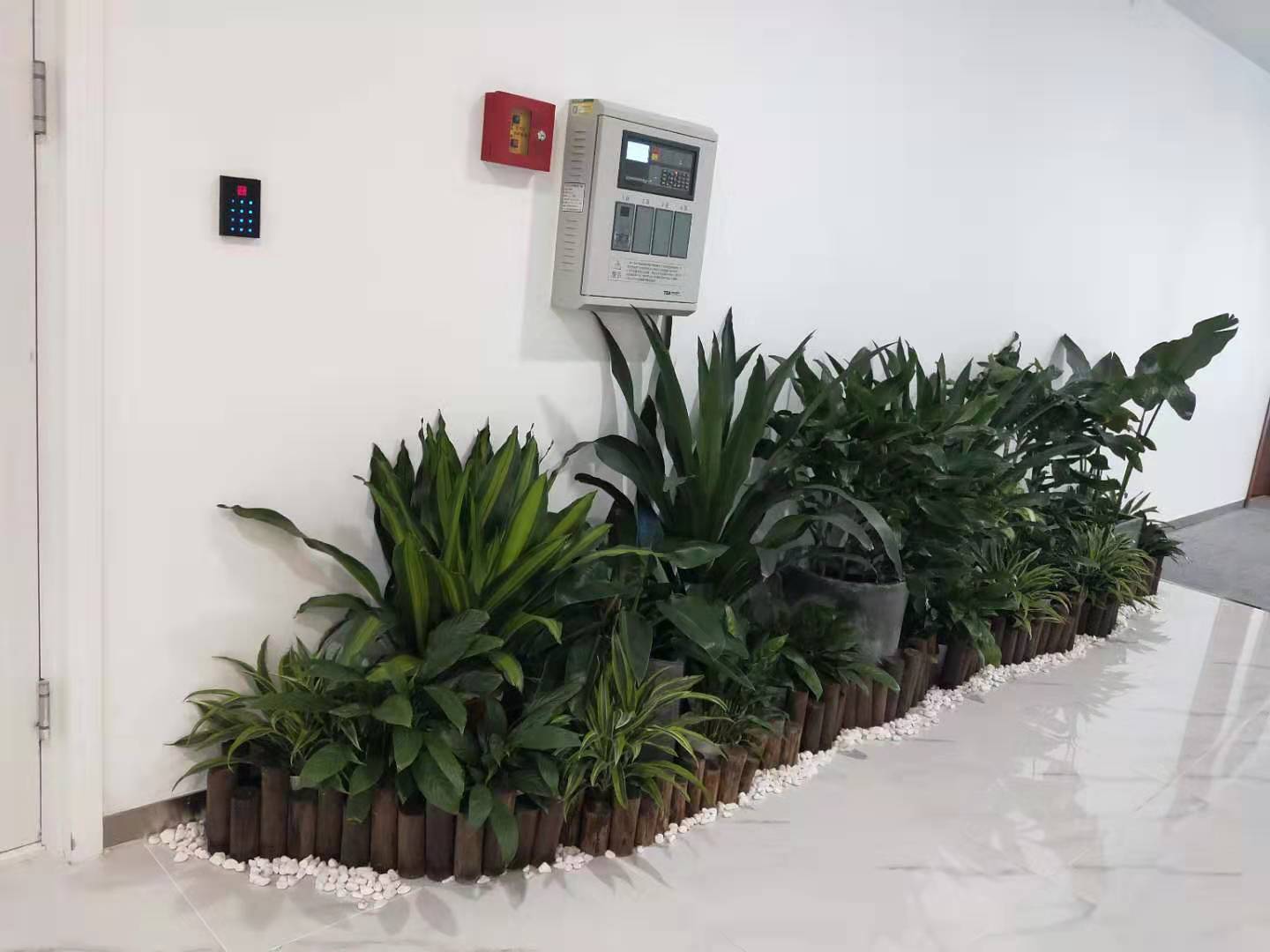 ccddfbf2ec1069570d49e86389841d8.jpg